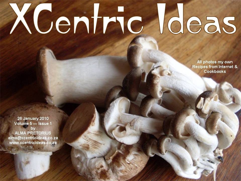 XCentric Ideas 2010 Issue 1