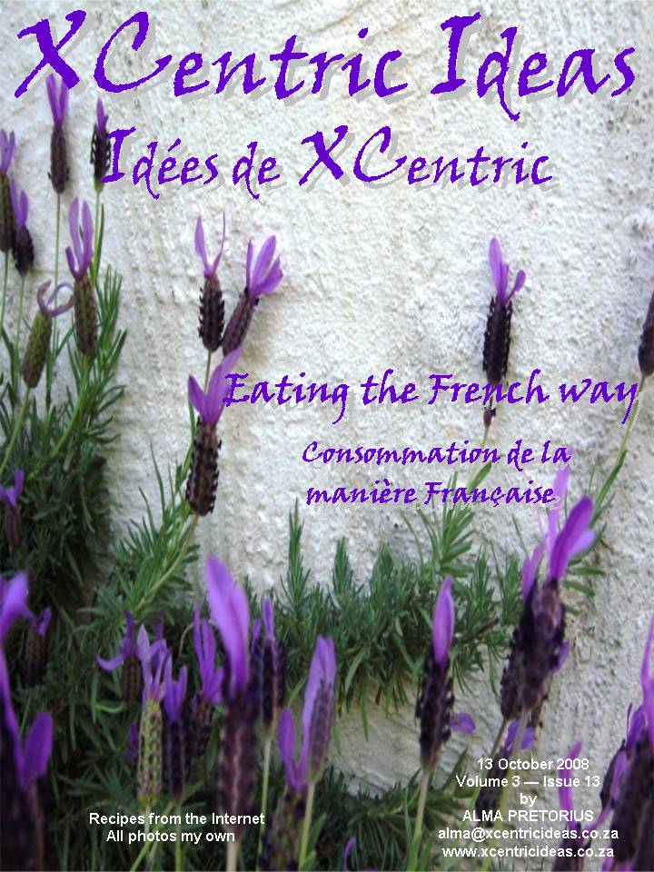 XCentric Ideas 2008 Issue 13