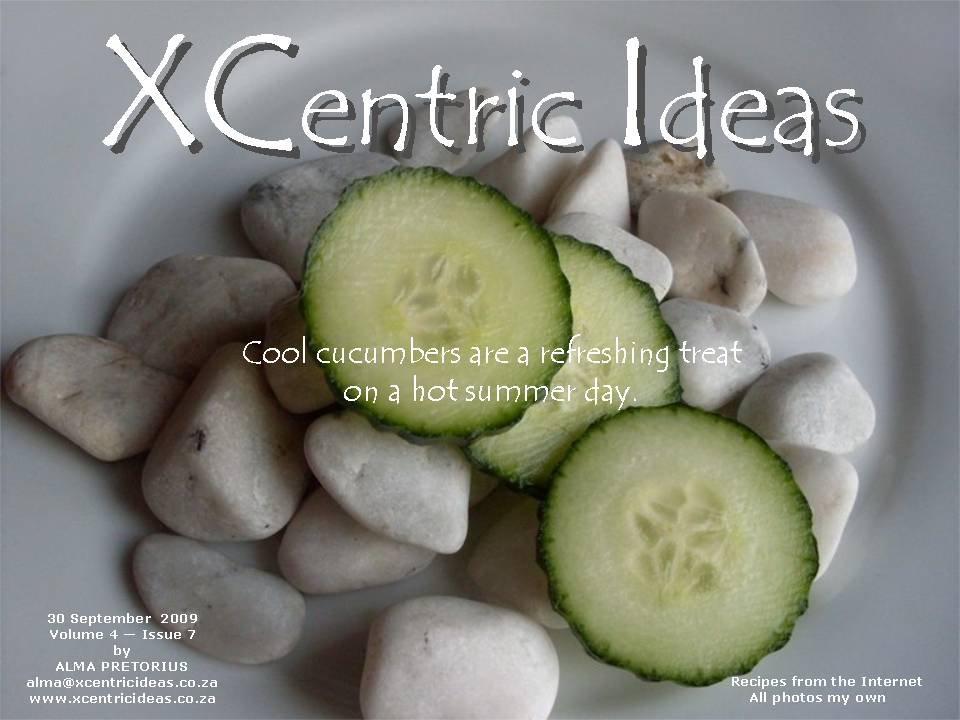 XCentric Ideas 2009 Issue 7
