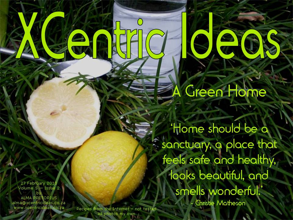 XCentric Ideas 2010 Issue 2