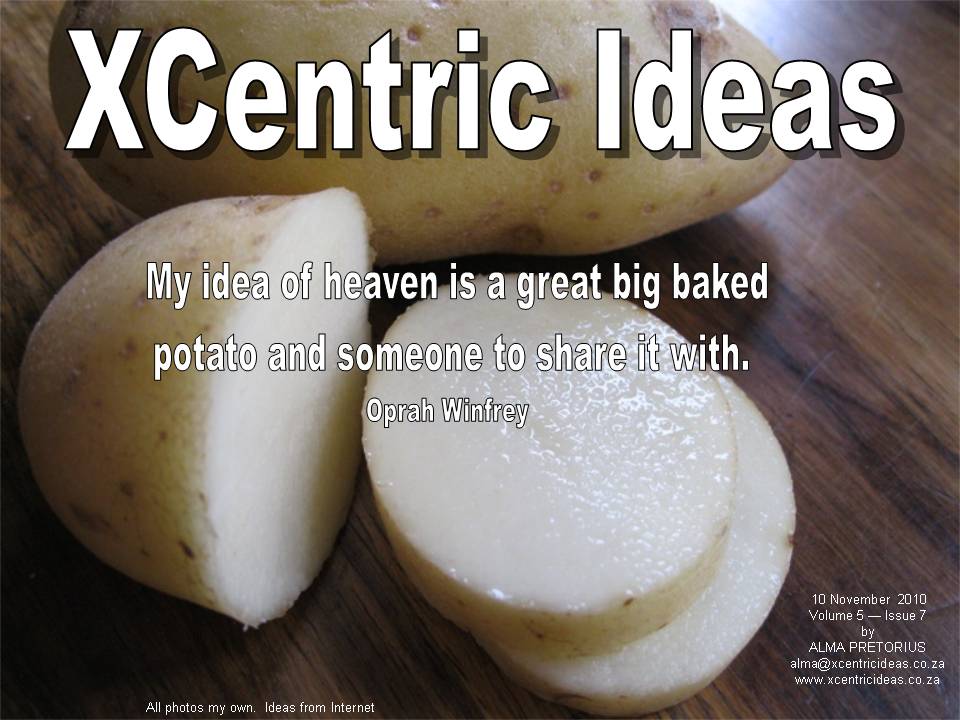 XCentric Ideas 2010 Issue 7