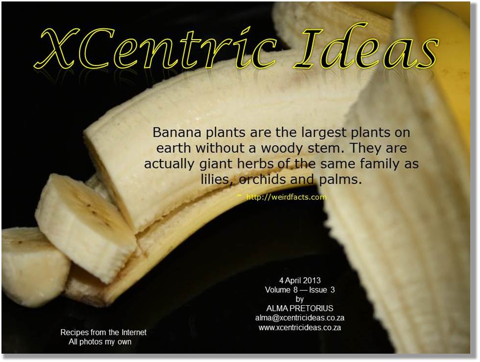 XCentric Ideas 2013 Issue 3